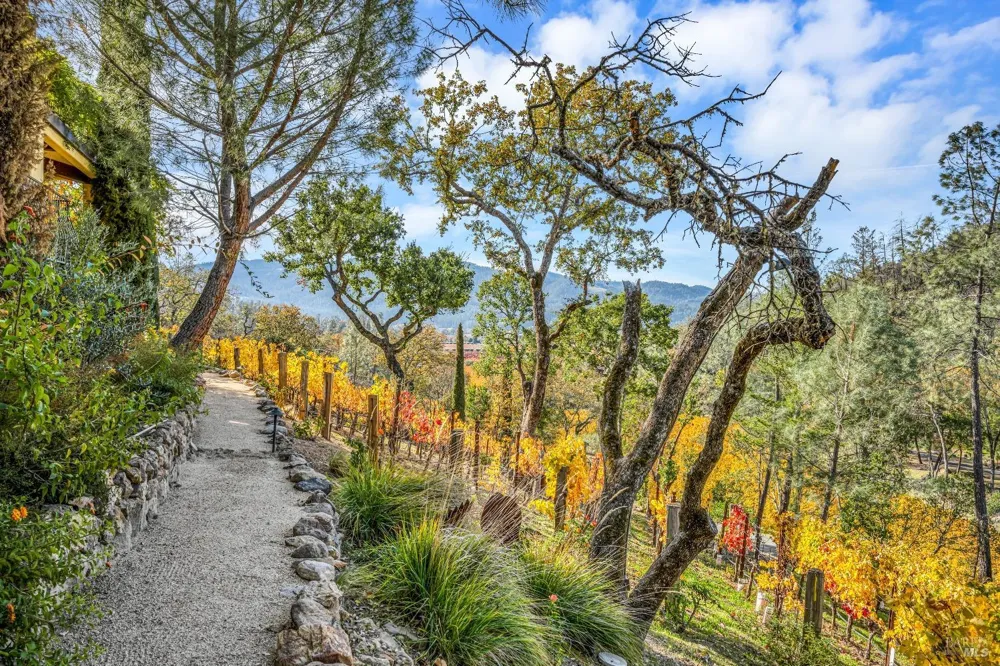 2395 Pickett Road Calistoga, CA 94515