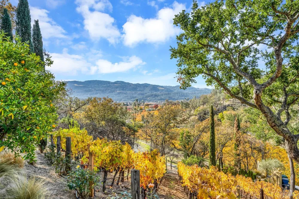 2395 Pickett Road Calistoga, CA 94515