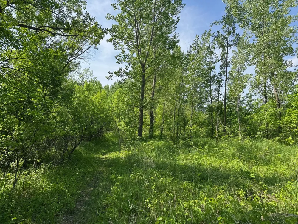 TBD Otter Street SW Hutchinson, MN 55350