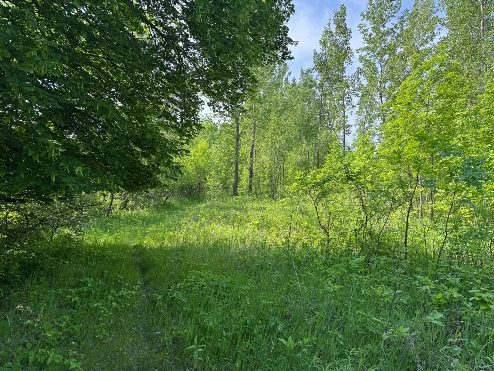 TBD Otter Street SW Hutchinson, MN 55350