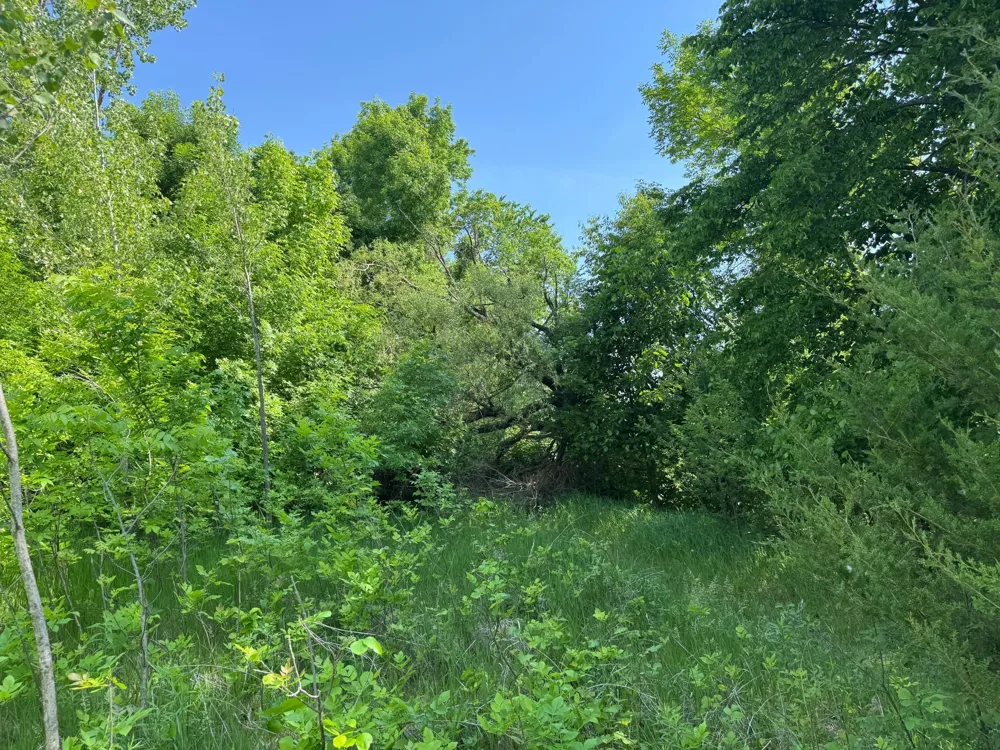 TBD Otter Street SW Hutchinson, MN 55350