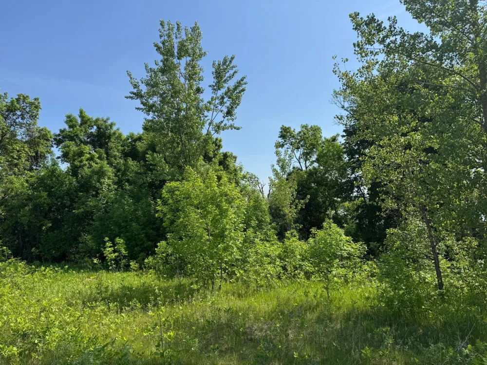 TBD Otter Street SW Hutchinson, MN 55350
