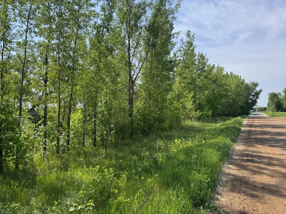 TBD Otter Street SW Hutchinson, MN 55350