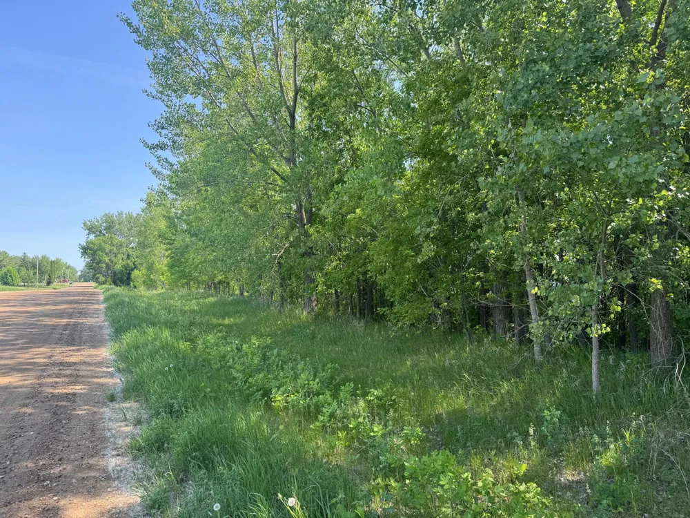 TBD Otter Street SW Hutchinson, MN 55350
