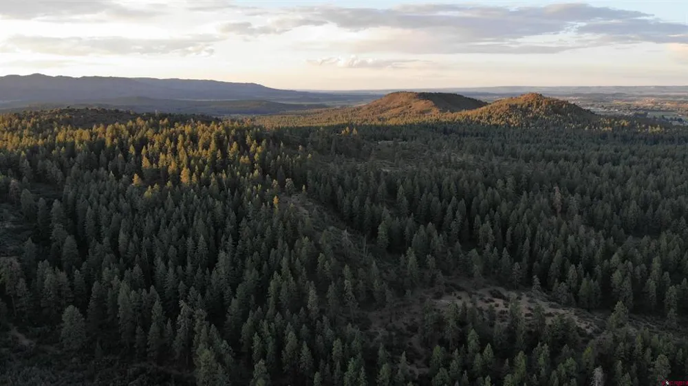 4 Beaver Creek Ranch Dr Bayfield, CO 81122