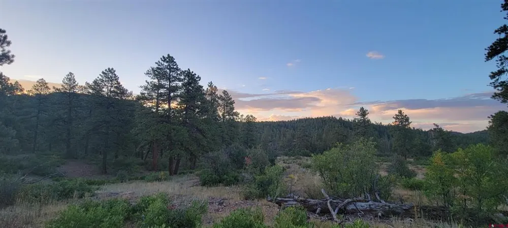 4 Beaver Creek Ranch Dr Bayfield, CO 81122