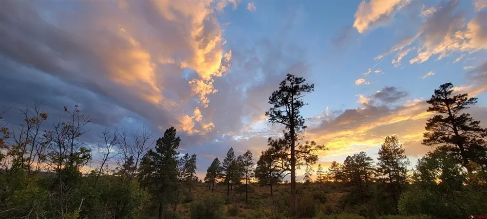 4 Beaver Creek Ranch Dr Bayfield, CO 81122