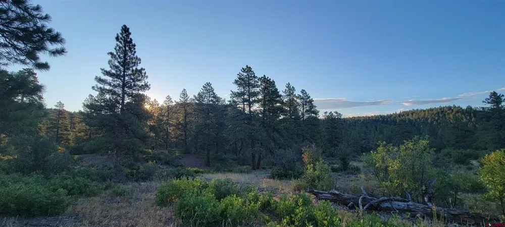 4 Beaver Creek Ranch Dr Bayfield, CO 81122