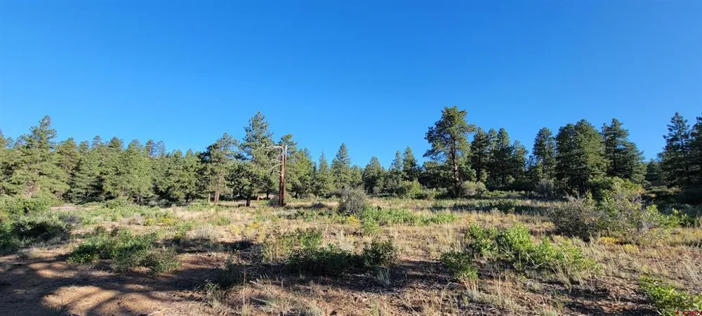 4 Beaver Creek Ranch Dr Bayfield, CO 81122