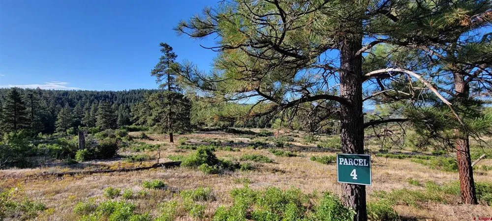 4 Beaver Creek Ranch Dr Bayfield, CO 81122