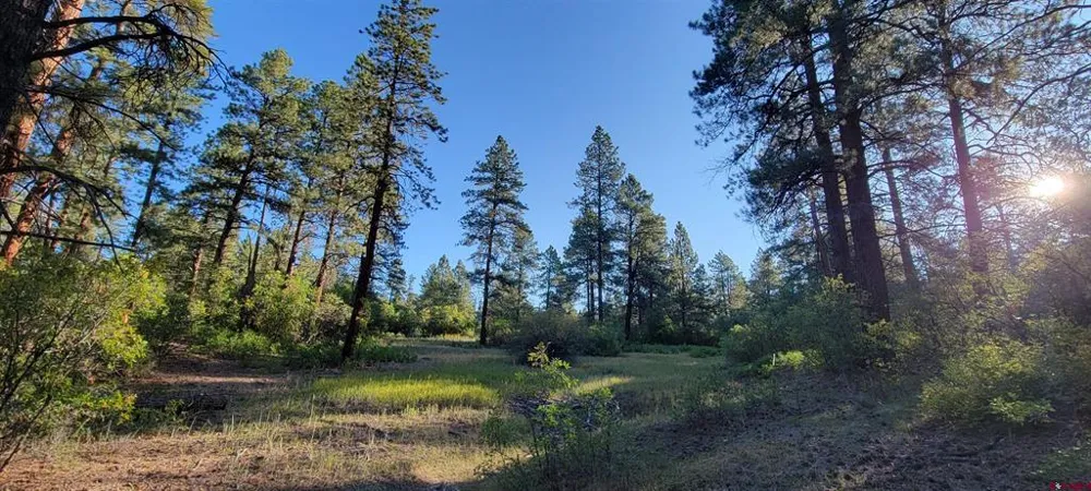 4 Beaver Creek Ranch Dr Bayfield, CO 81122