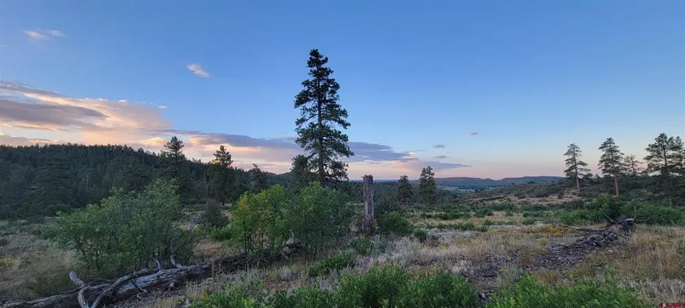 4 Beaver Creek Ranch Dr Bayfield, CO 81122