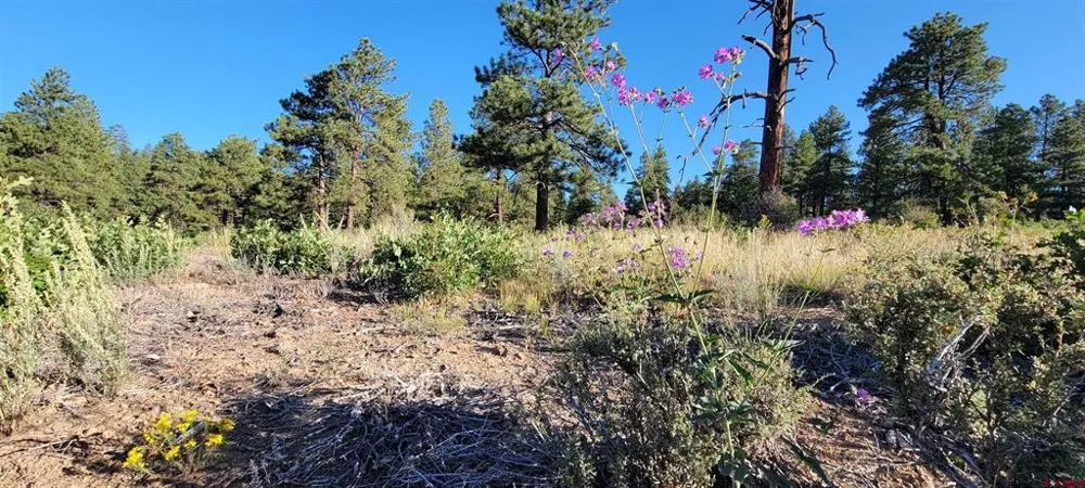 4 Beaver Creek Ranch Dr Bayfield, CO 81122