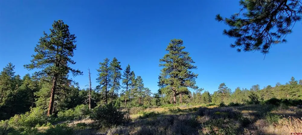4 Beaver Creek Ranch Dr Bayfield, CO 81122