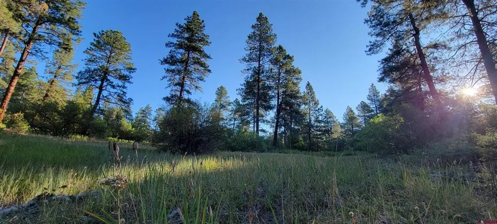 4 Beaver Creek Ranch Dr Bayfield, CO 81122