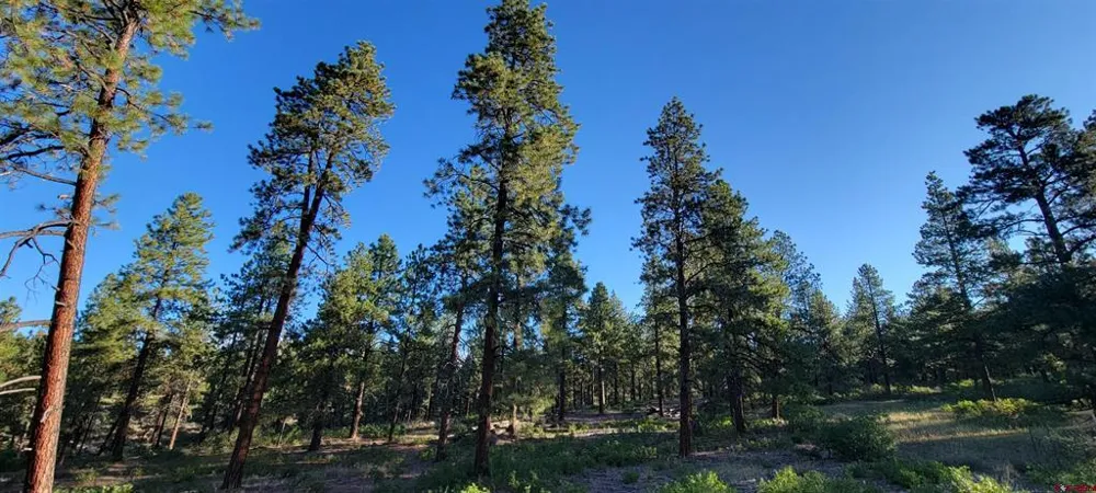 4 Beaver Creek Ranch Dr Bayfield, CO 81122
