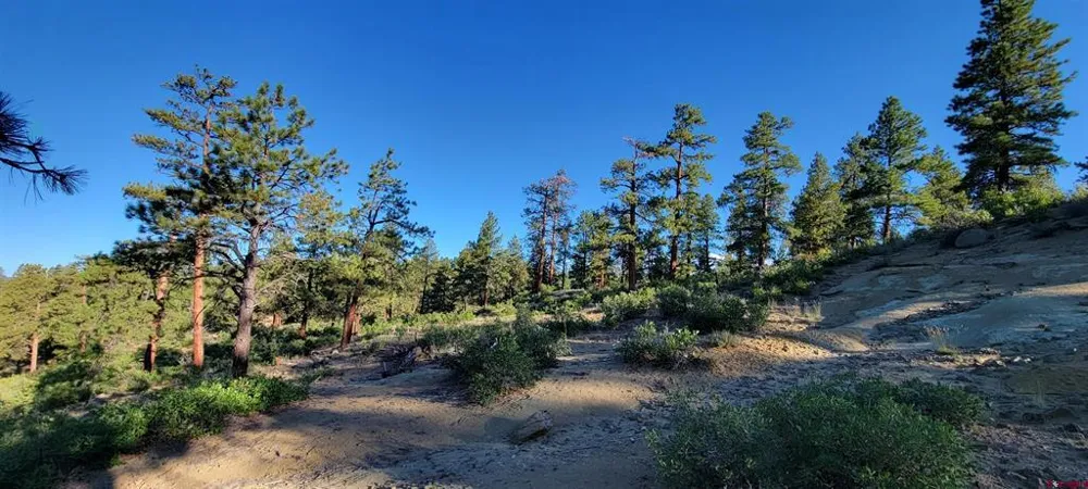 4 Beaver Creek Ranch Dr Bayfield, CO 81122