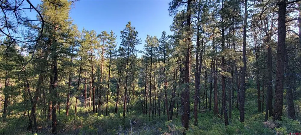 4 Beaver Creek Ranch Dr Bayfield, CO 81122