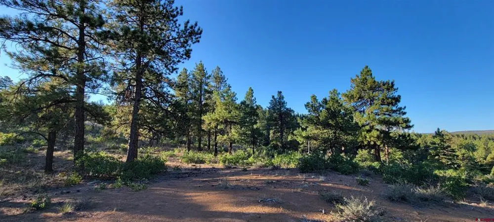 4 Beaver Creek Ranch Dr Bayfield, CO 81122