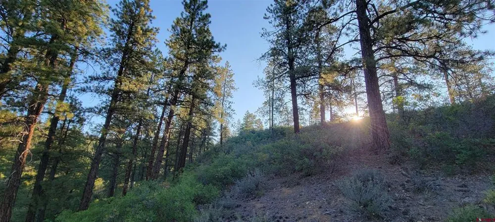 4 Beaver Creek Ranch Dr Bayfield, CO 81122