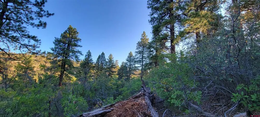 4 Beaver Creek Ranch Dr Bayfield, CO 81122