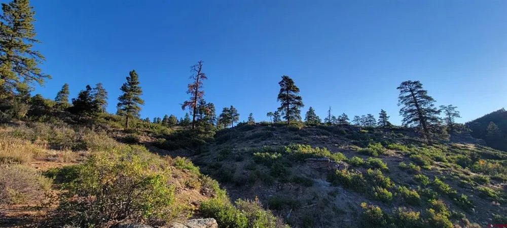 4 Beaver Creek Ranch Dr Bayfield, CO 81122