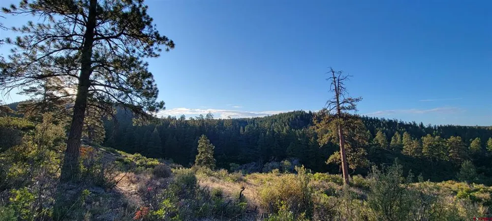 4 Beaver Creek Ranch Dr Bayfield, CO 81122
