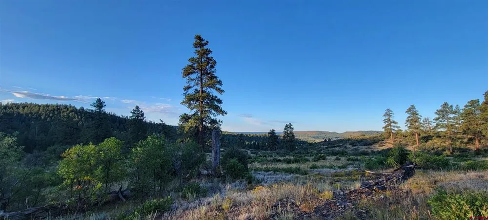 4 Beaver Creek Ranch Dr Bayfield, CO 81122