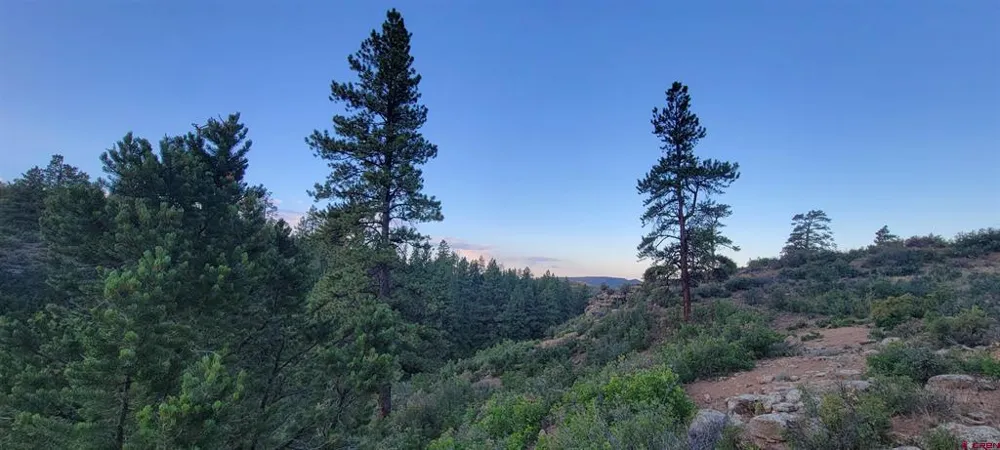 4 Beaver Creek Ranch Dr Bayfield, CO 81122