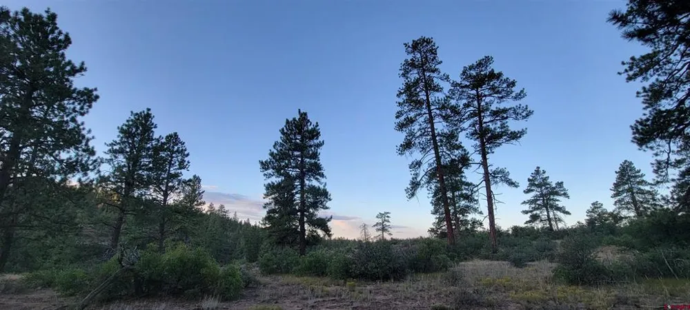 4 Beaver Creek Ranch Dr Bayfield, CO 81122