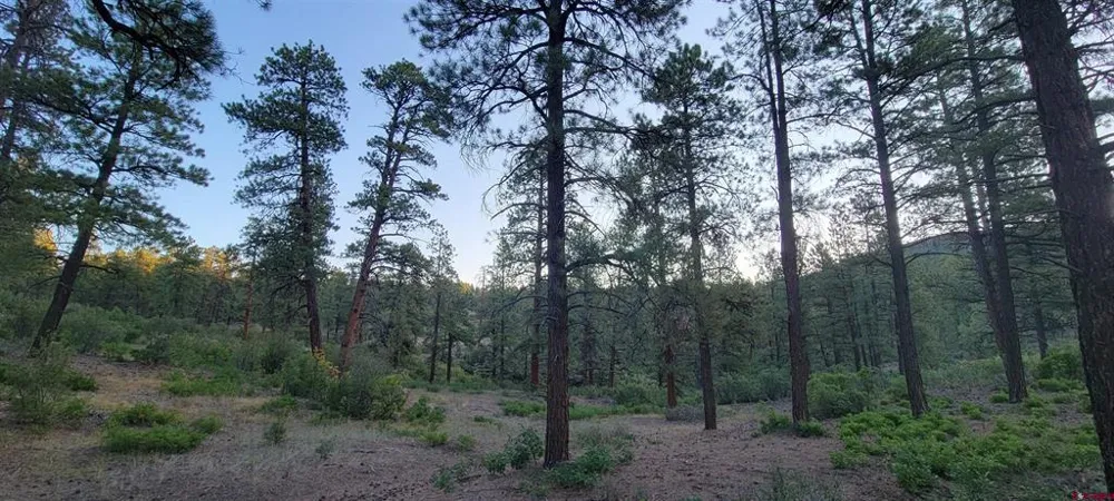 4 Beaver Creek Ranch Dr Bayfield, CO 81122