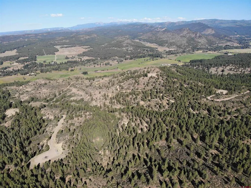 4 Beaver Creek Ranch Dr Bayfield, CO 81122