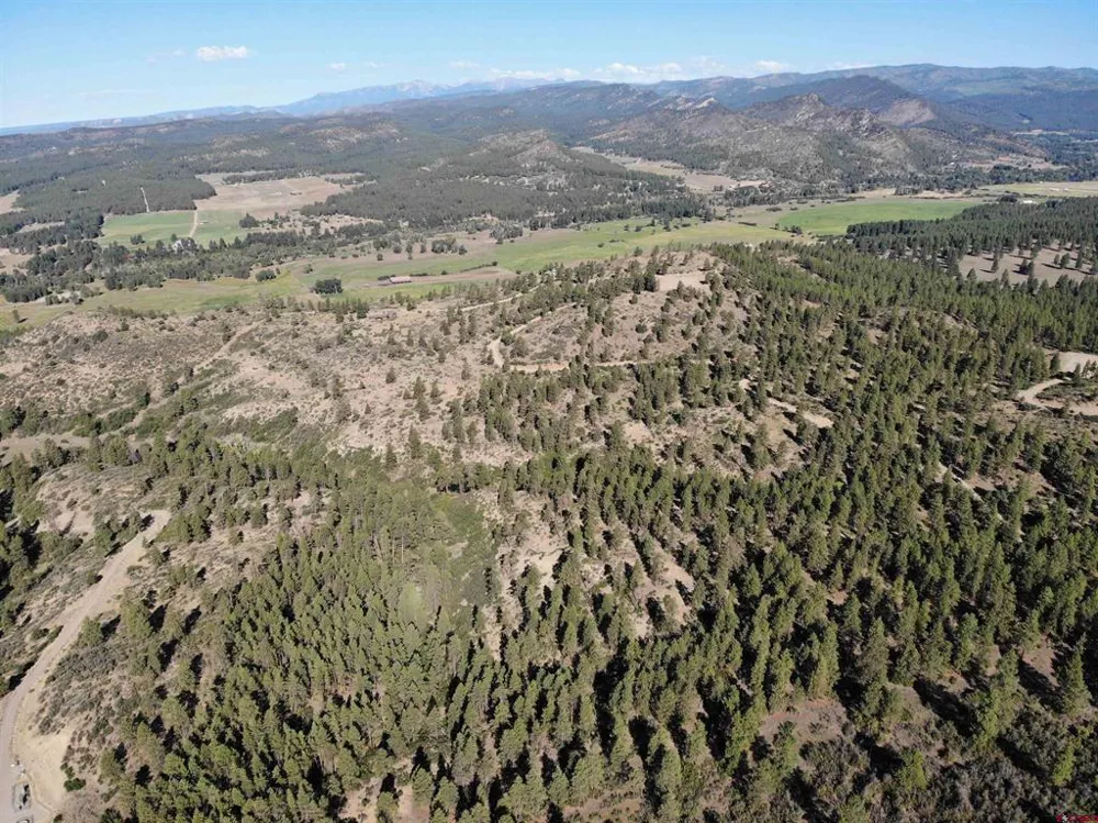 4 Beaver Creek Ranch Dr Bayfield, CO 81122