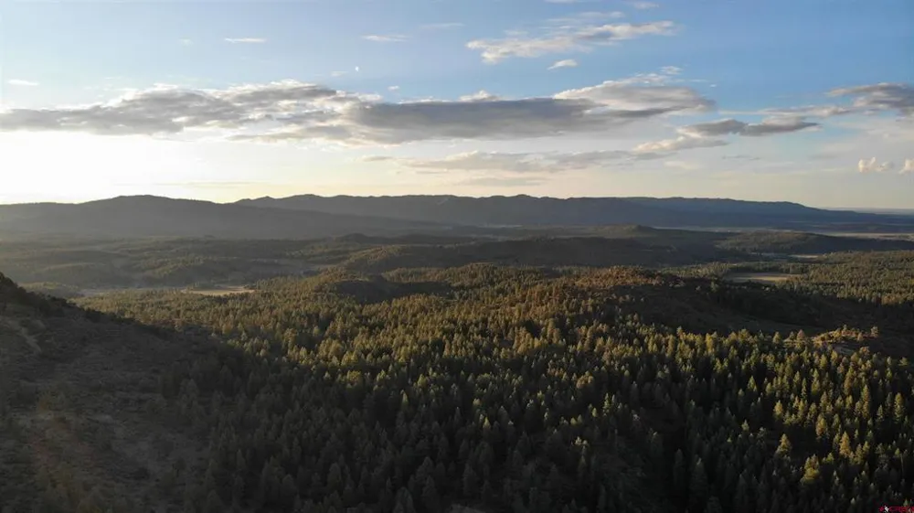 4 Beaver Creek Ranch Dr Bayfield, CO 81122