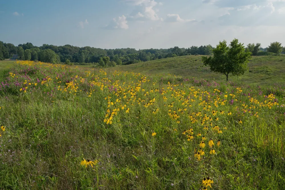 6697 Chaffey Creek Trail Richland, MI 49083