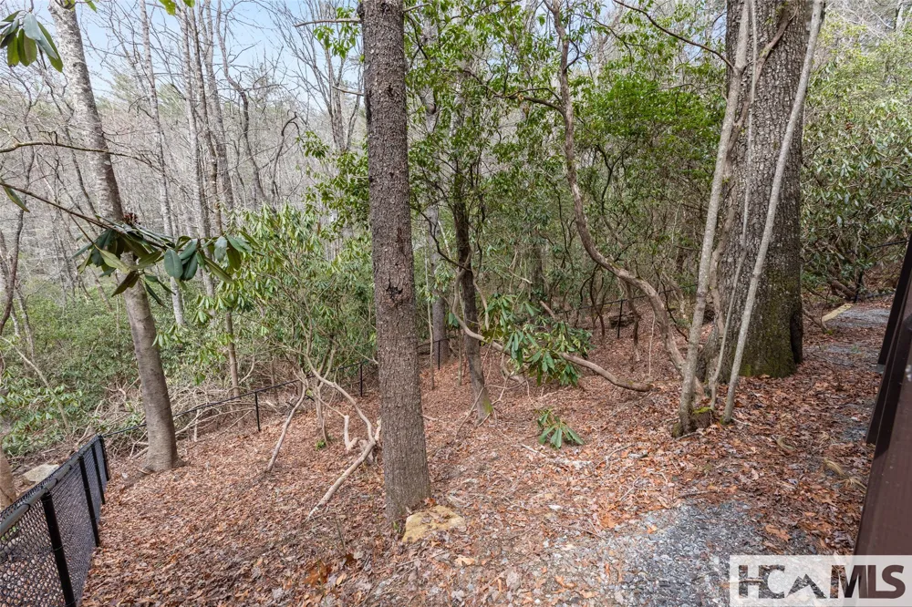 155 Springs Way Sapphire, NC 28774