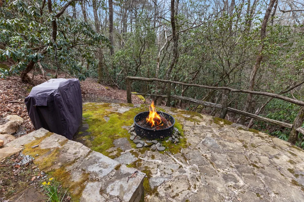 155 Springs Way Sapphire, NC 28774