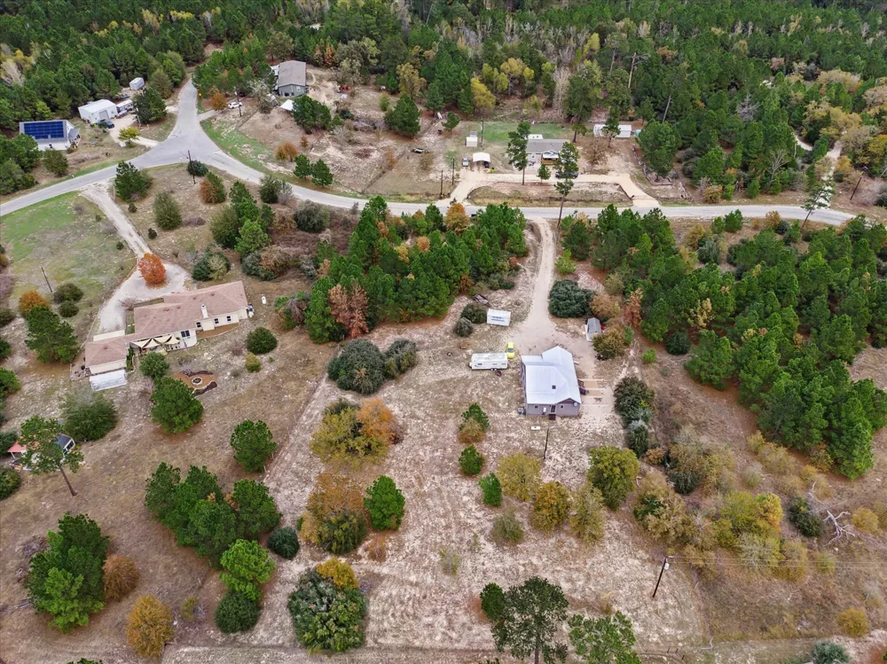 364 Ponderosa Loop Paige, TX 78659