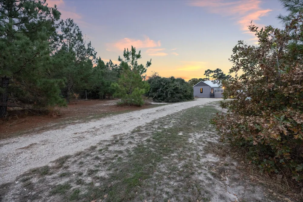 364 Ponderosa Loop Paige, TX 78659