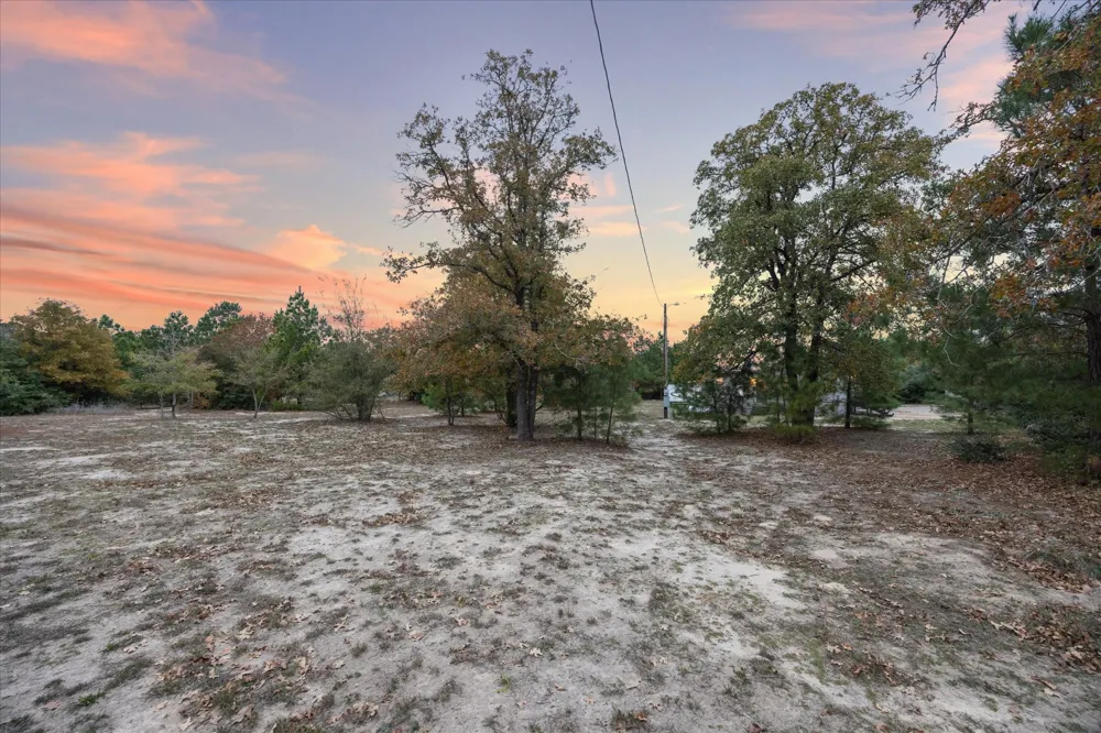 364 Ponderosa Loop Paige, TX 78659