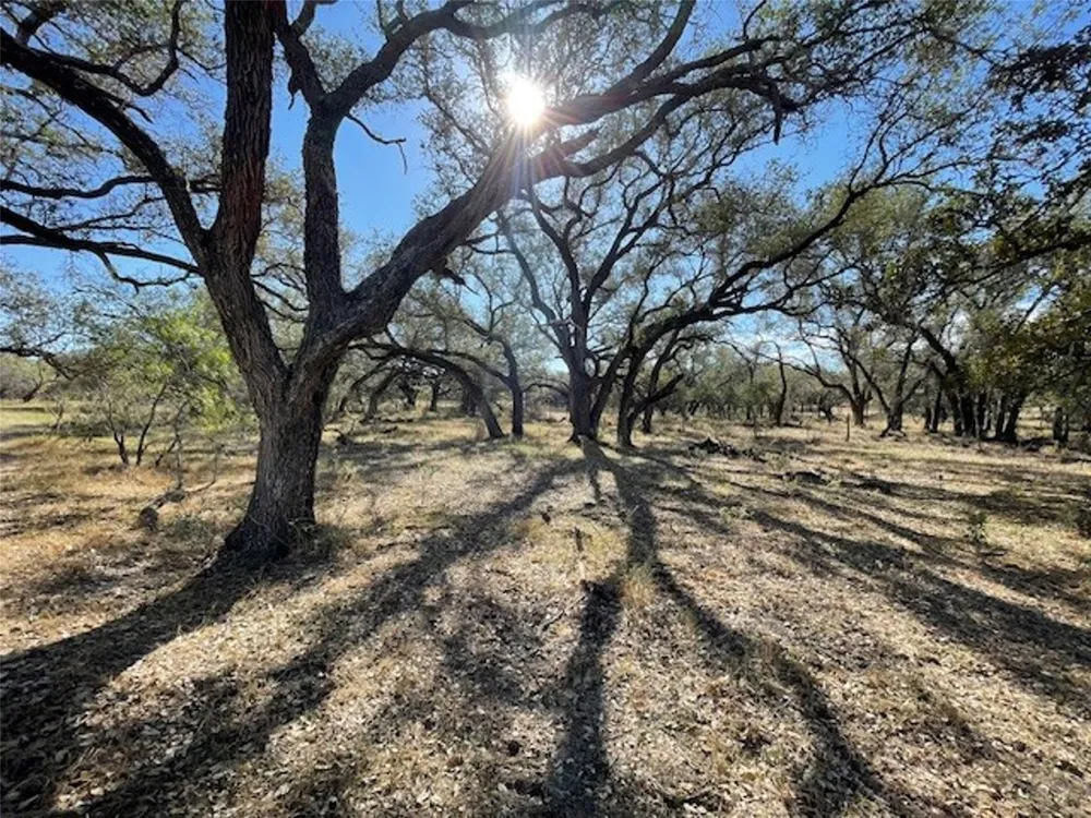 1384 County Road 326 Adkins, TX 78101