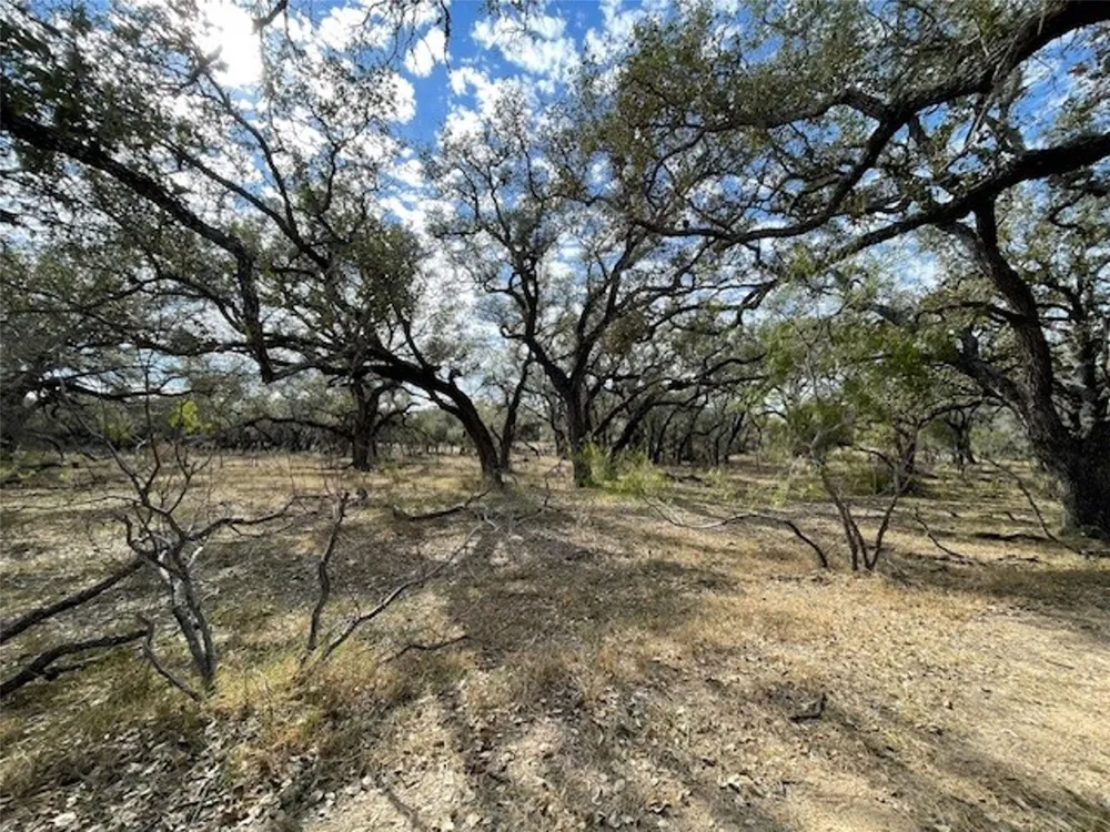 1384 County Road 326 Adkins, TX 78101