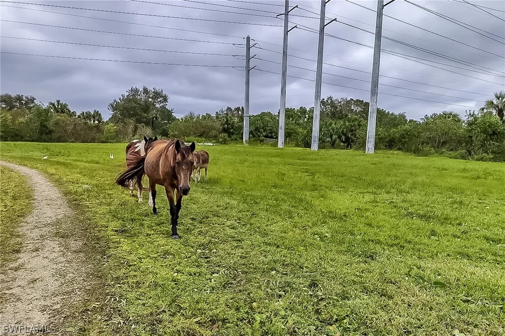 Cutting Horse Lane Bonita Springs, FL 34135