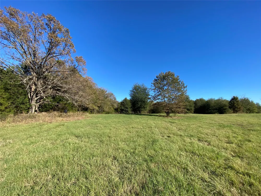 30 County Road 2425 Como, TX 75431