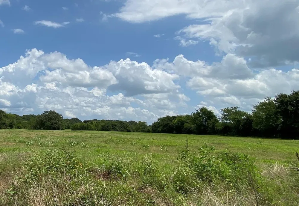 30 County Road 2425 Como, TX 75431