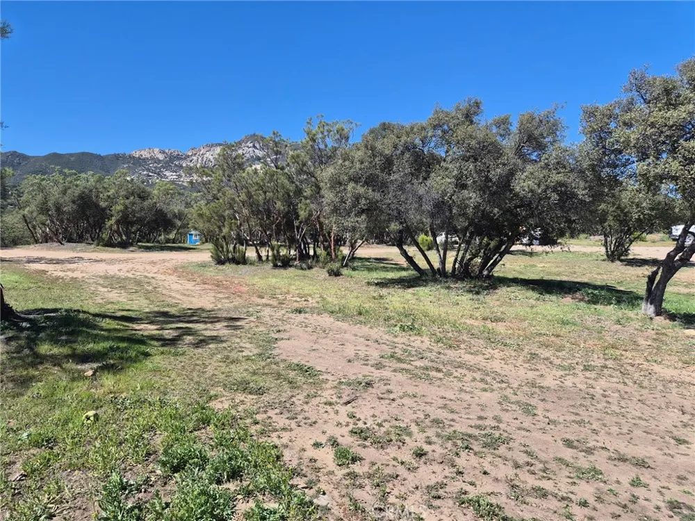 38295 Indian Road Anza, CA 92539
