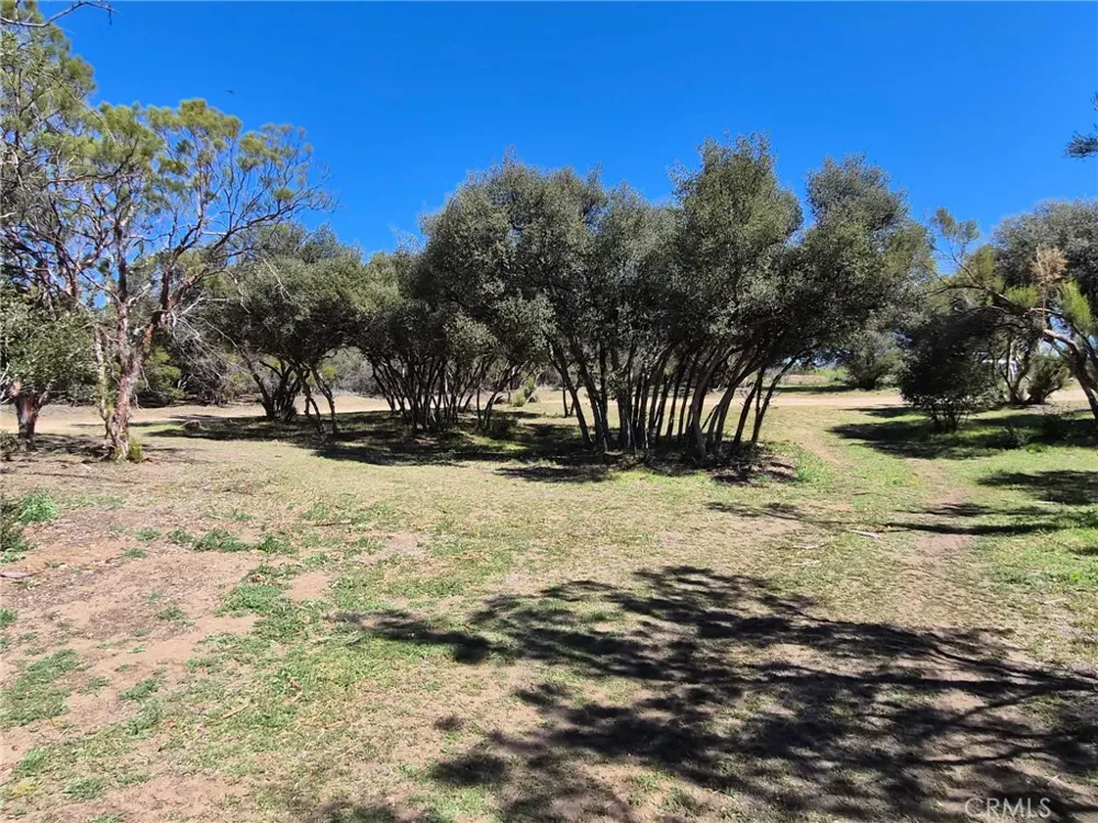 38295 Indian Road Anza, CA 92539