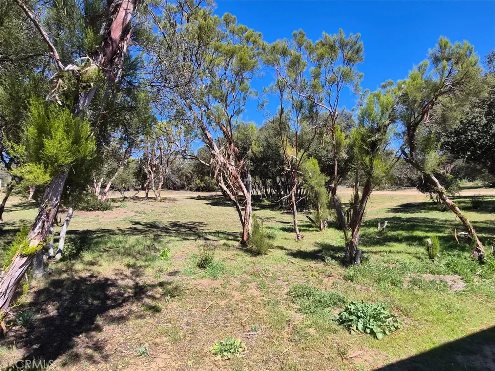 38295 Indian Road Anza, CA 92539