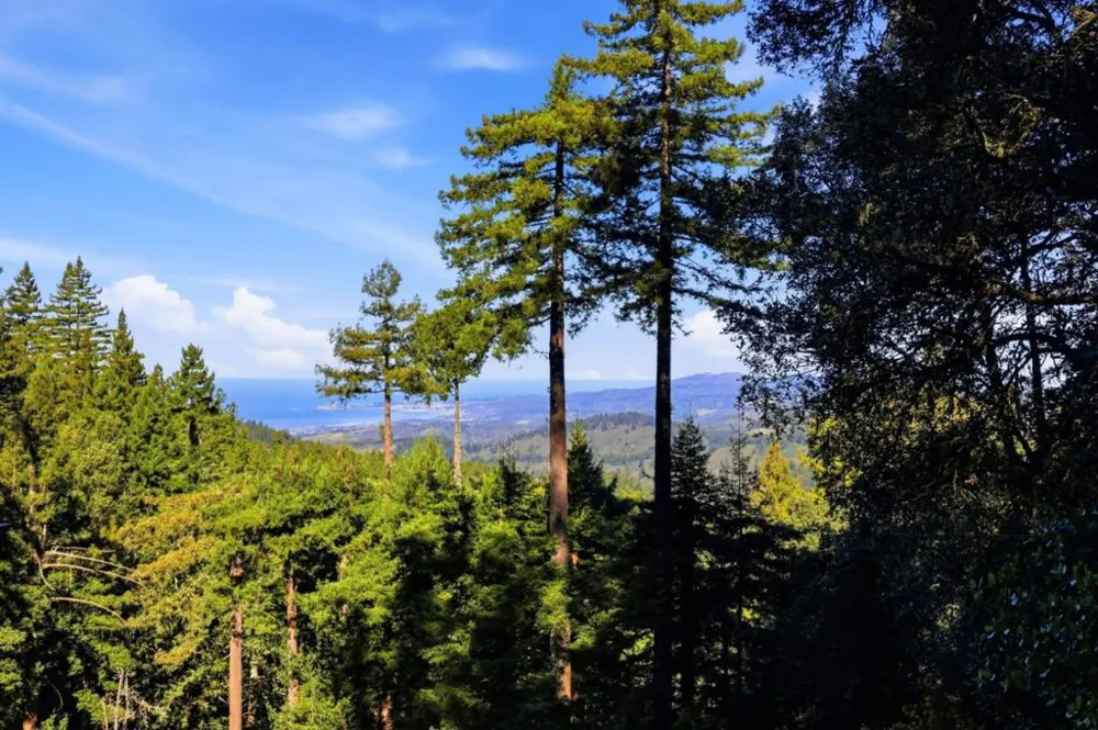 155 Native Sons Road Woodside, CA 94062