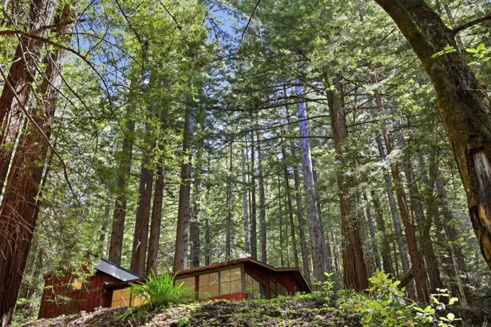 155 Native Sons Road Woodside, CA 94062